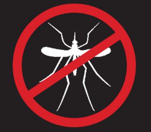 malaria_zanzara